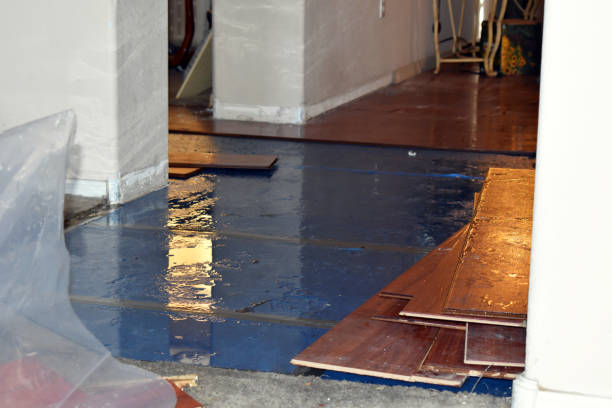 Professional Basement Flood Cleanup technician working in Corinth, MS